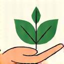 Icône de feuille verte et cœur